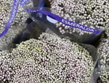 Посмотрим и на отдел Срезанных цветов!